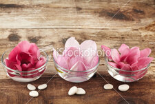 Flowers2