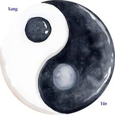 yin yang